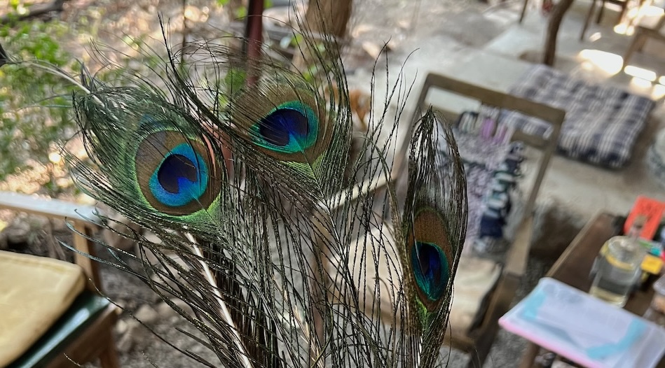 Coherence: Regeneration and Practice in&nbsp;India